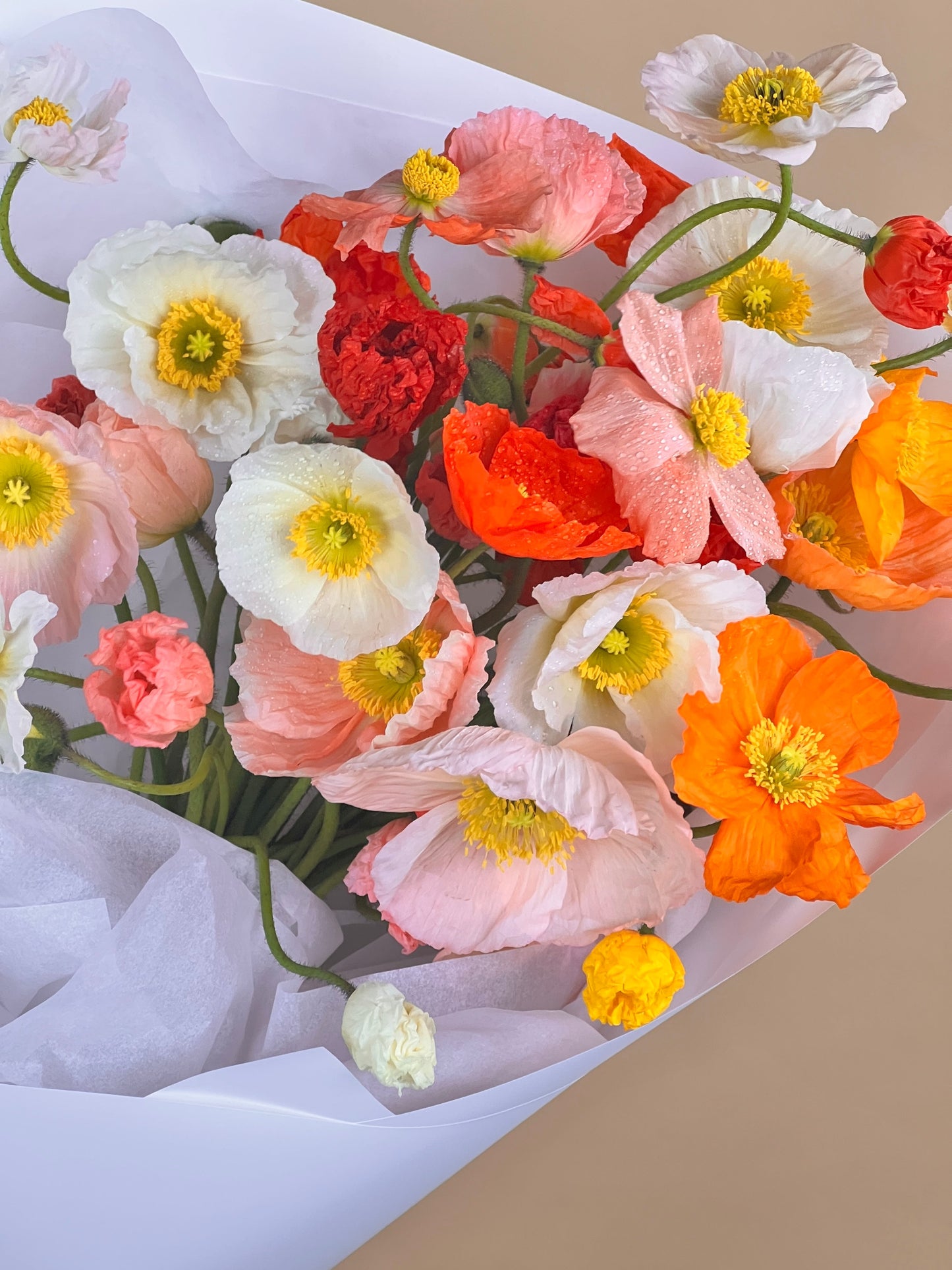 Poppies-Flower-Delivery-Gold-Coast-Florist-Flowers Gold Coast-Classic-https://www.flowersgoldcoast.com.au-best-florist