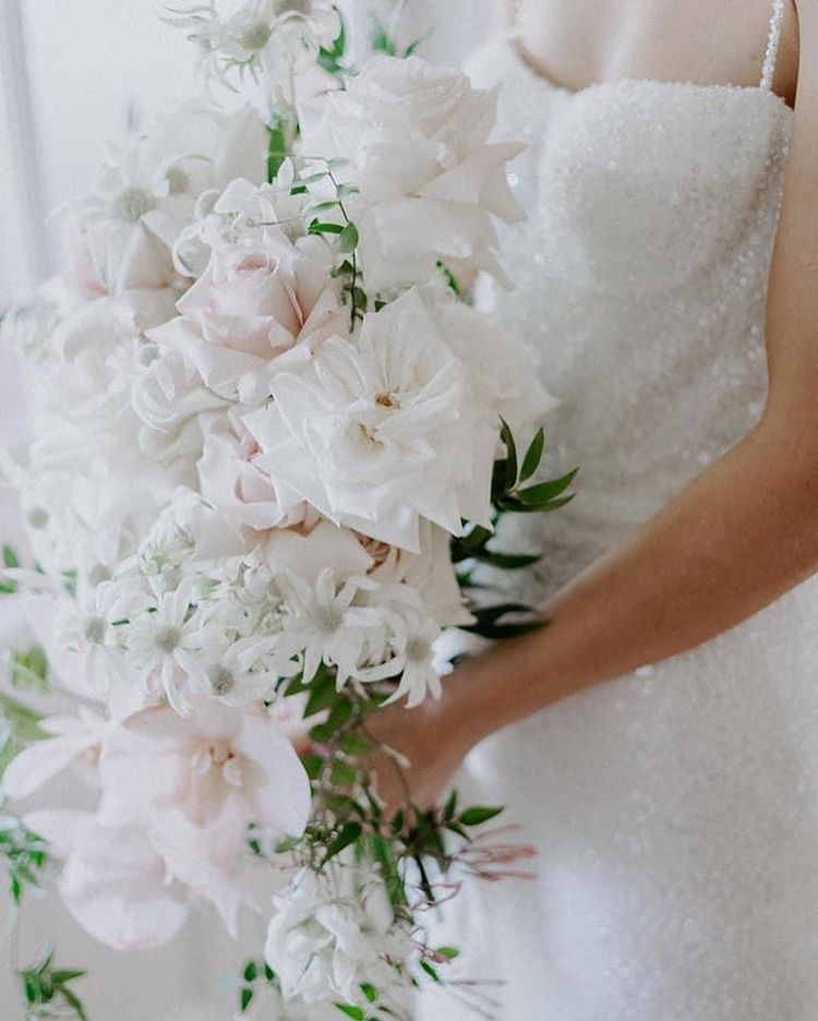 Booking Timeline for Peak Wedding Season on the Gold Coast