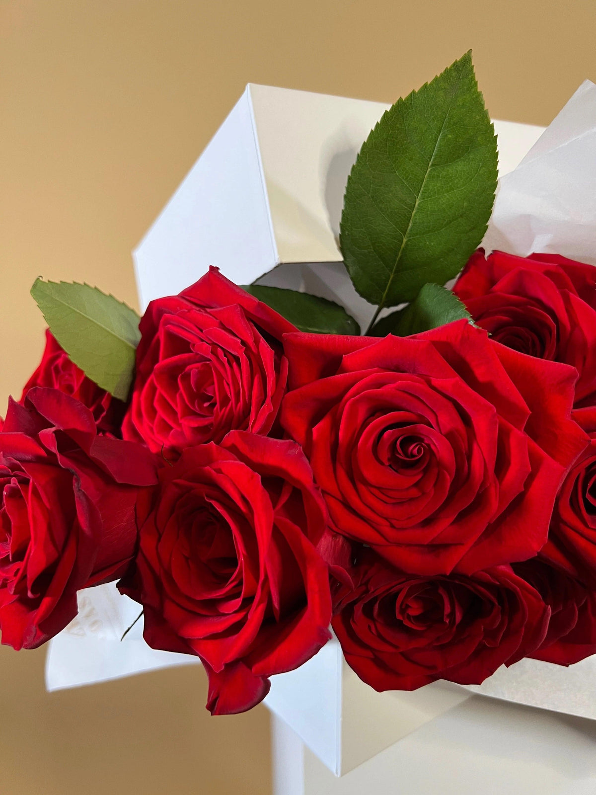 5 Reasons Why Valentines Day Pre Orders are Essential in 2022 made with love by Flowers Gold Coast www.flowersgoldcoast.com.au the Gold Coast's best Florist
