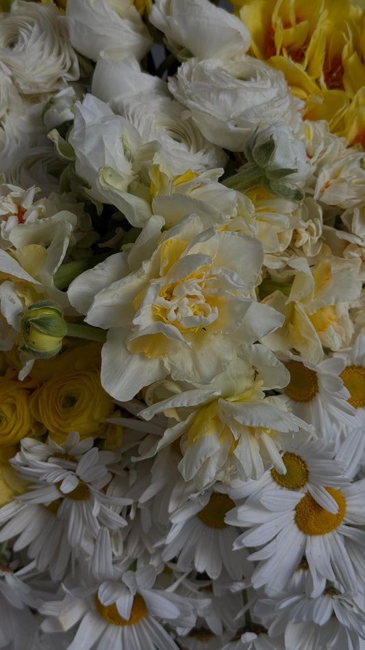 For the new @loccitaneanz store opening at @pacificfair a few weeks back ✨🌼