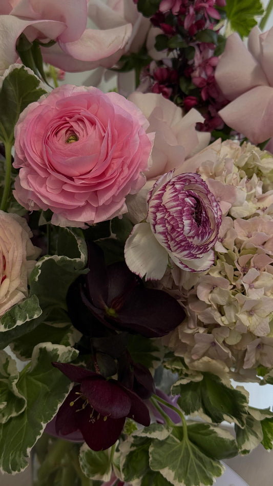 Just couldn’t resist 🤣🤣🤣