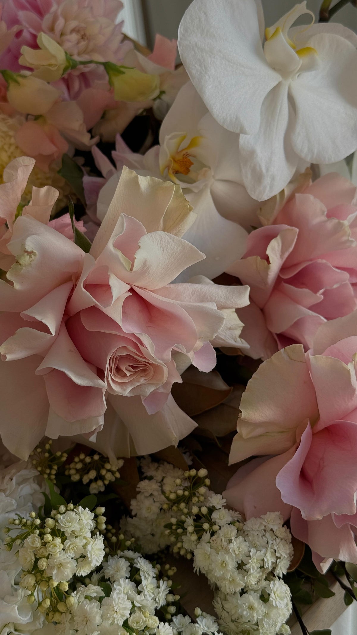 Make a Soft & Sweet design with Mia 🌸✨🤍