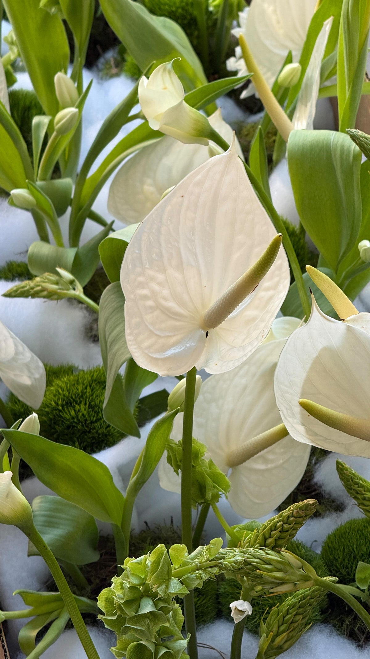 Come with us to Jacob & Genie’s wedding at @braesideestategc