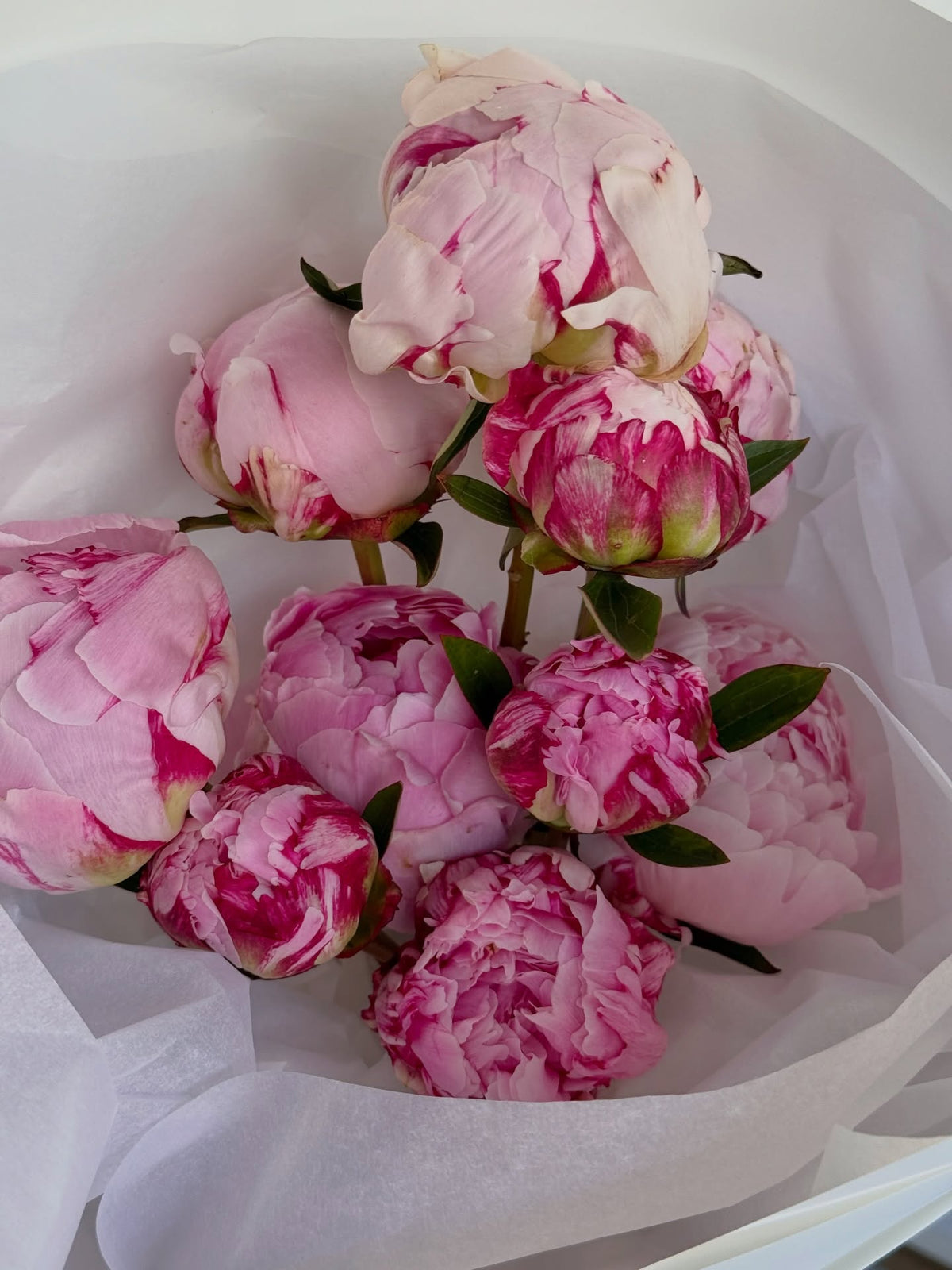 PEONIES are coming in hot 🌸🔥