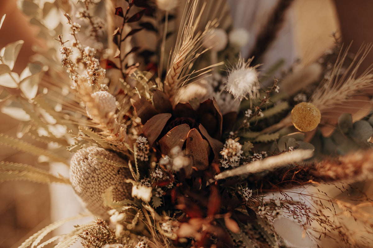 Everlasting Flowers - The Moody Shot - Flowers Gold Coast