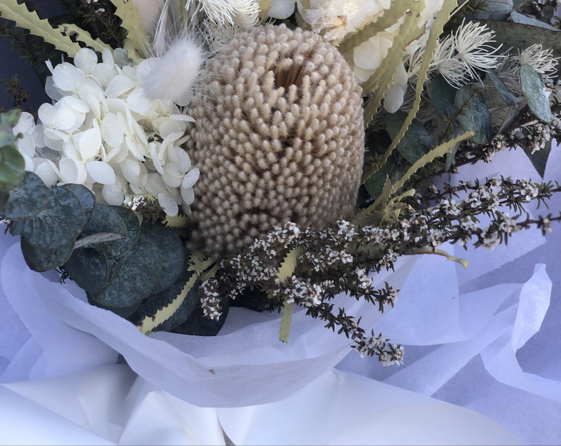 Banksia - Flowers Gold Coast - Best Florist