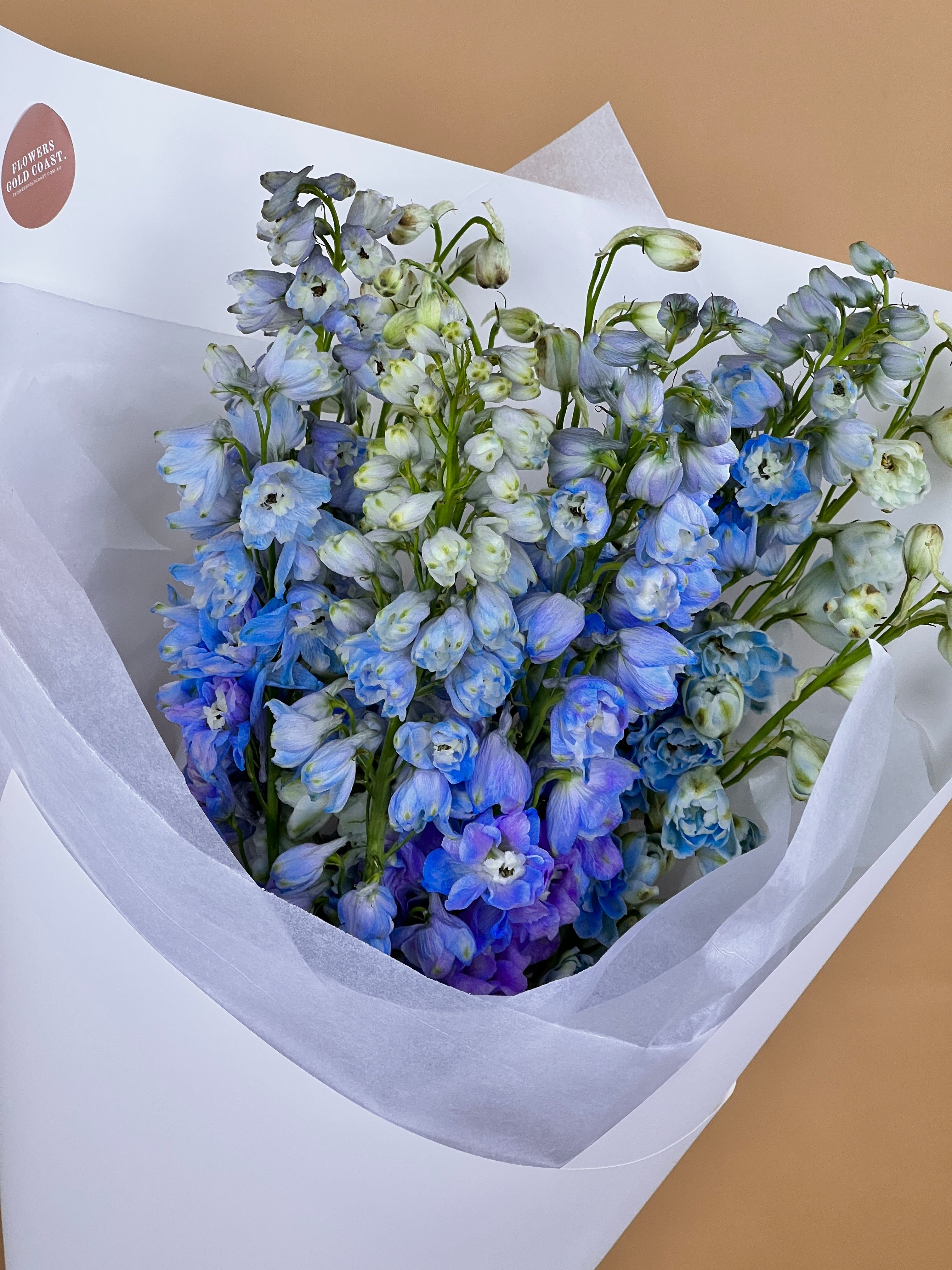 Flower of the Month: Delphinium - Flowers Gold Coast