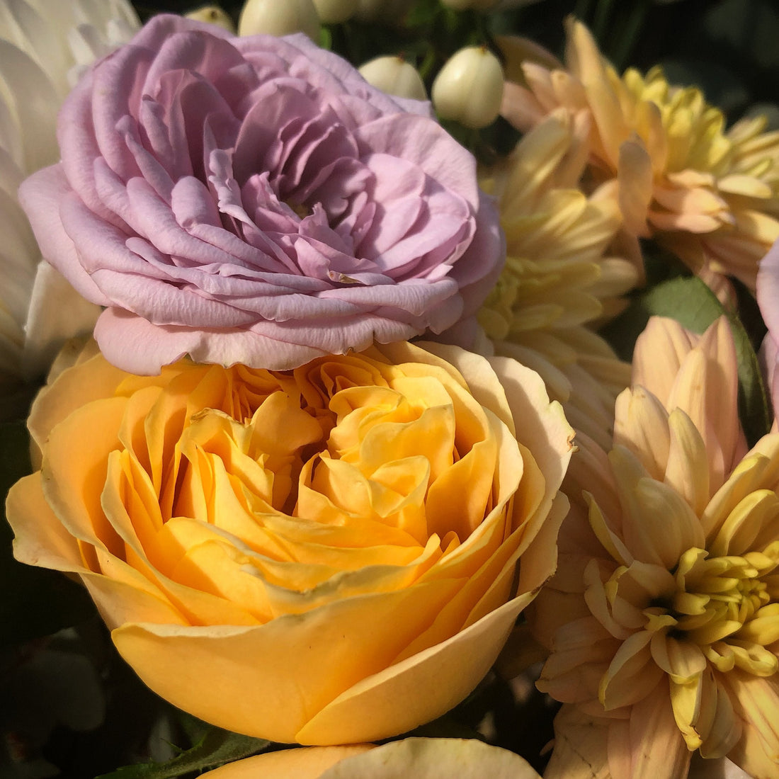 Flowers in Hibernation - Flowers Gold Coast