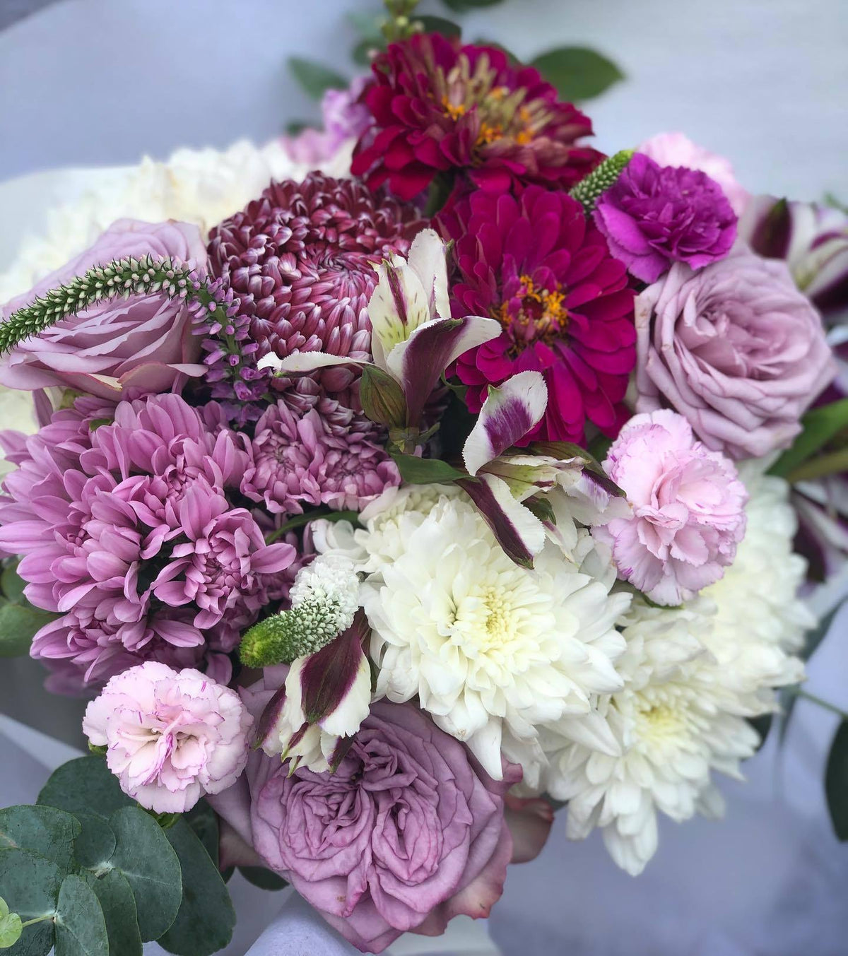 Introducing 🎆Mauve Intention 🎆 - Flowers Gold Coast