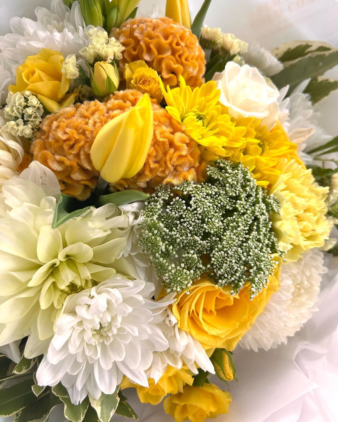 L I M O N C E L L O

Add some sunshine to this gloomy day ✨

Head to our website to order your flo made with love by Flowers Gold Coast www.flowersgoldcoast.com.au the Gold Coast's best Florist