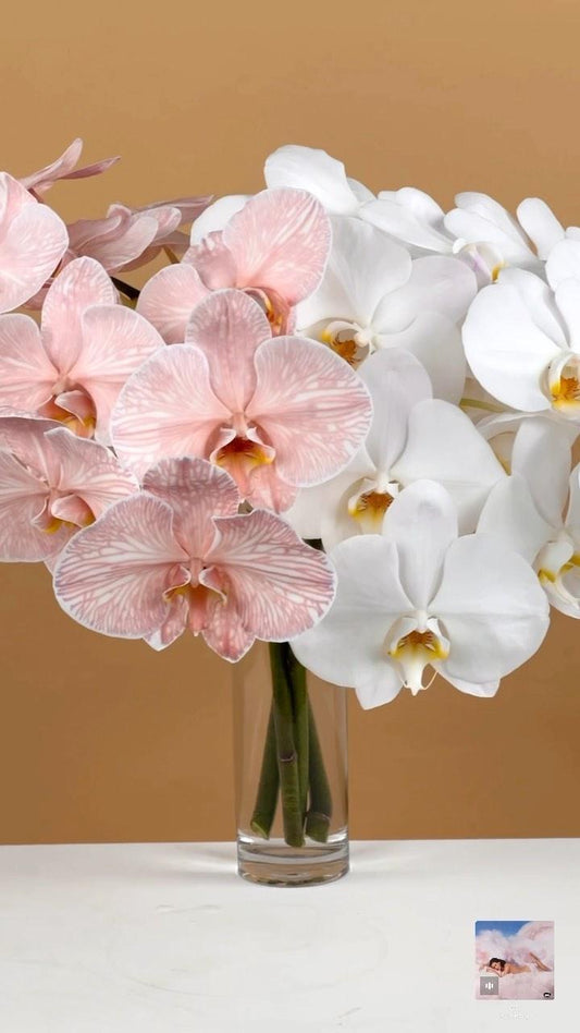 New Product Alert 🤍🌸🤍🌸 Our Phalaenopsis Cut Orchid Stems now come in gorgeous glass vase made with love by Flowers Gold Coast www.flowersgoldcoast.com.au the Gold Coast's best Florist- Same Day Flower Delivery