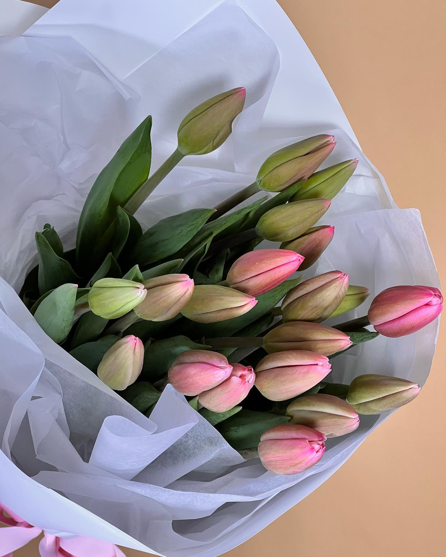 T U L I P S  E N  M A S S E 

Send a beautiful bunch of locally grown Tulips to your loved ones 🌸 made with love by Flowers Gold Coast www.flowersgoldcoast.com.au the Gold Coast's best Florist- Same Day Flower Delivery
