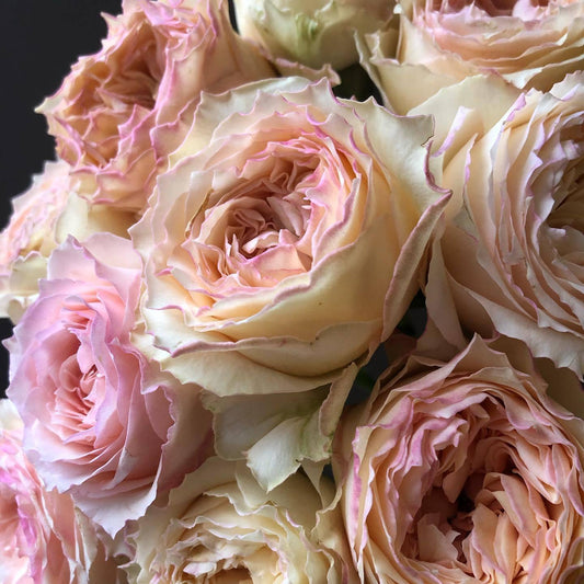 Who said Valentine’s Day was only about Red Roses? - Flowers Gold Coast