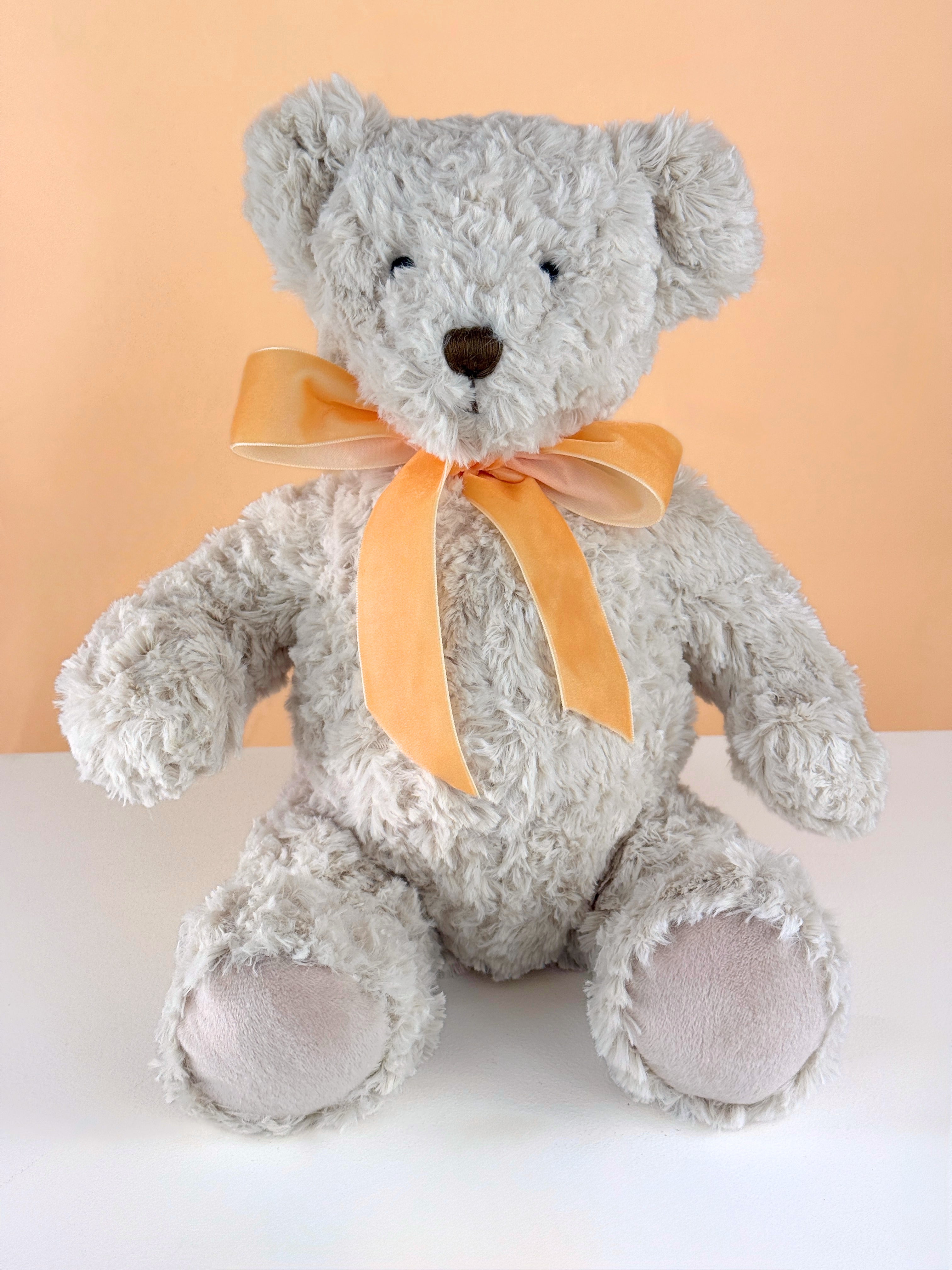 Freddy The Teddy Bear