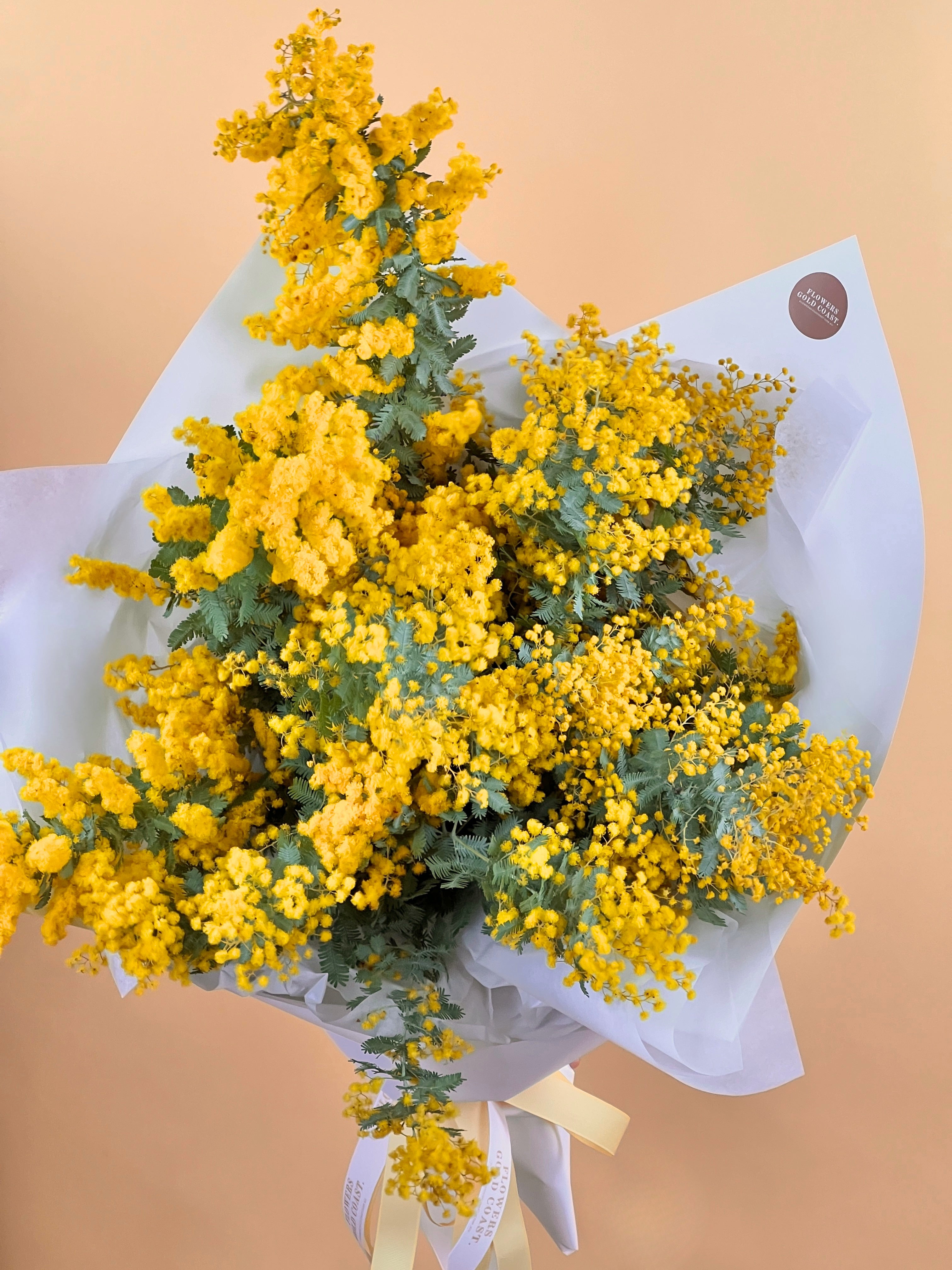 Bouquet of Australian golden wattle flowers wrapped in white paper on a peach background