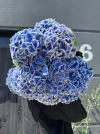 Hydrangea En Masse - Fresh Flower made with love by Flowers Gold Coast www.flowersgoldcoast.com.au the Gold Coast's best Florist - Same Day Flower Delivery