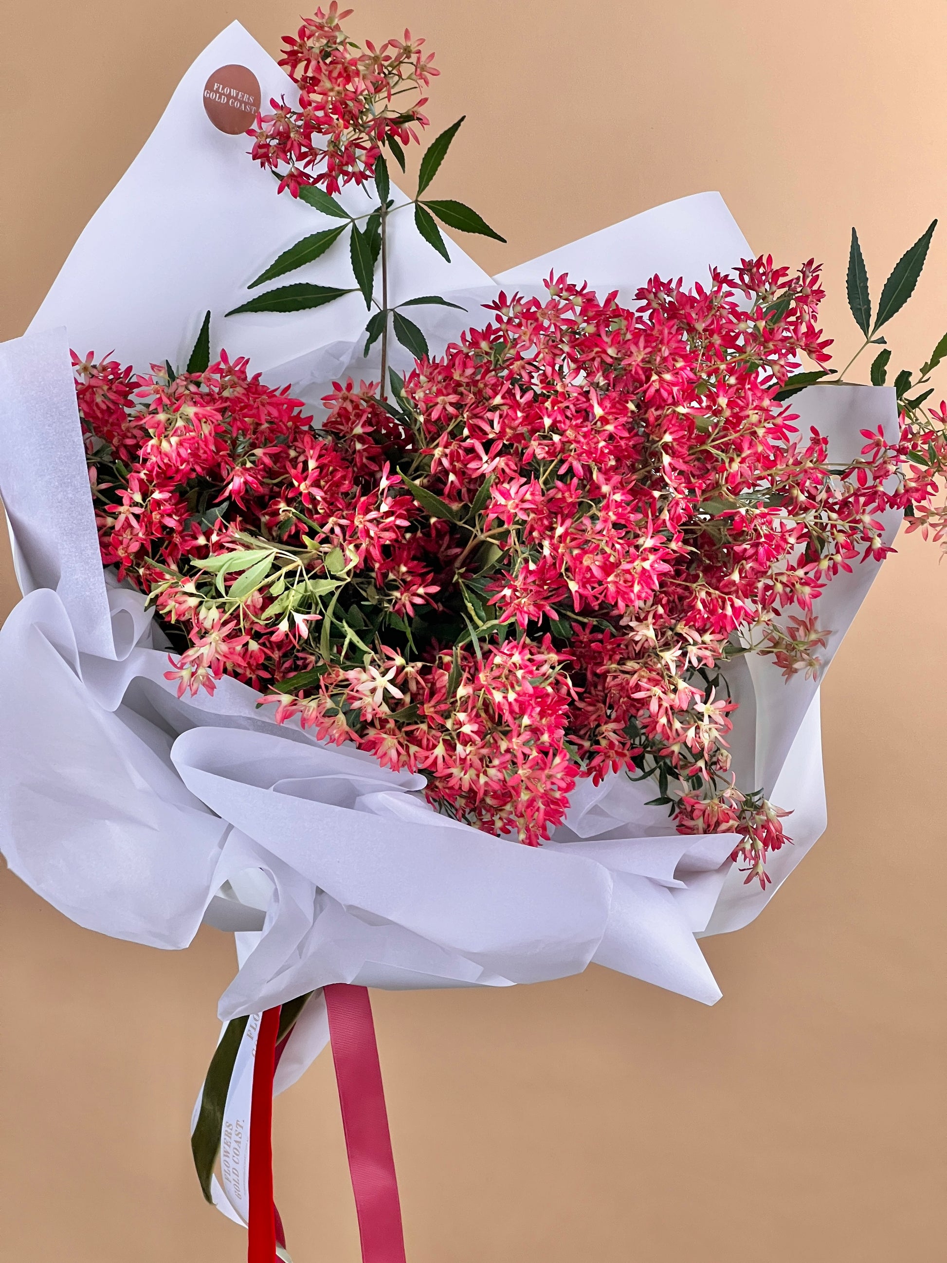 Christmas Bush-Flower-Delivery-Gold-Coast-Florist-Flowers Gold Coast-https://www.flowersgoldcoast.com.au-best-florist