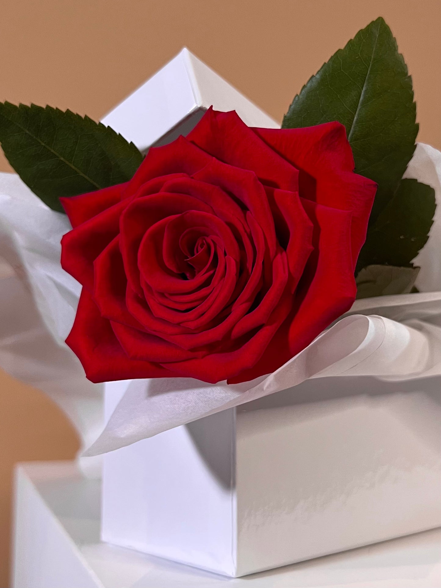 First Love Red Rose Box-Flower-Delivery-Gold-Coast-Florist-Flowers Gold Coast-One Rose-https://www.flowersgoldcoast.com.au-best-florist