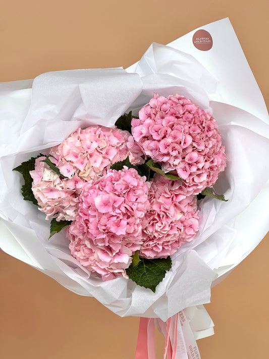 Hydrangea En Masse-Flower-Delivery-Gold-Coast-Florist-Flowers Gold Coast-Beautifully Wrapped-Light Pink-https://www.flowersgoldcoast.com.au-best-florist