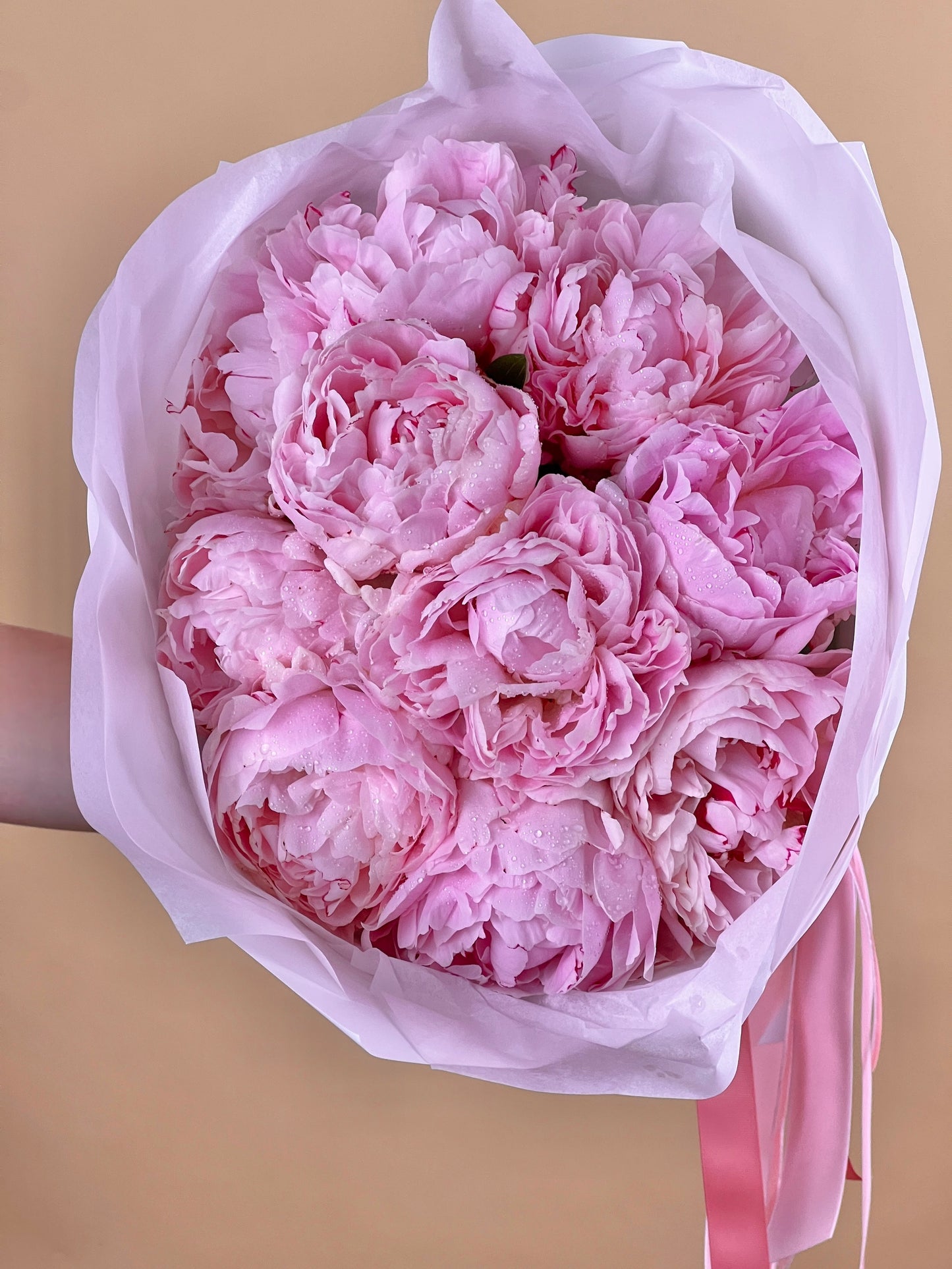 Poetic Peonies-Flower-Delivery-Gold-Coast-Florist-Flowers Gold Coast-5 Stems-Light pink-https://www.flowersgoldcoast.com.au-best-florist