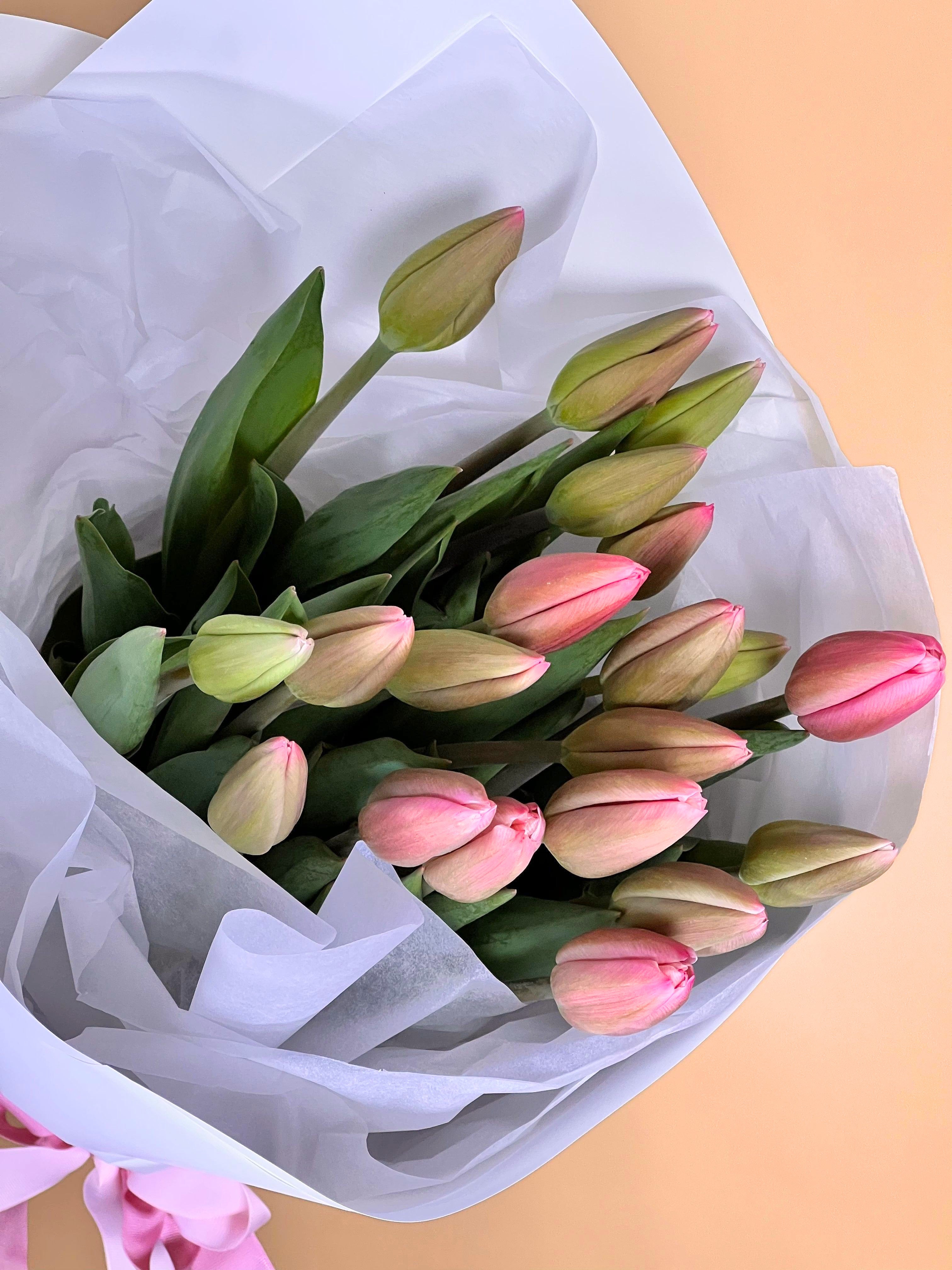 Tulip Bouquet - Fresh Cut Tulips