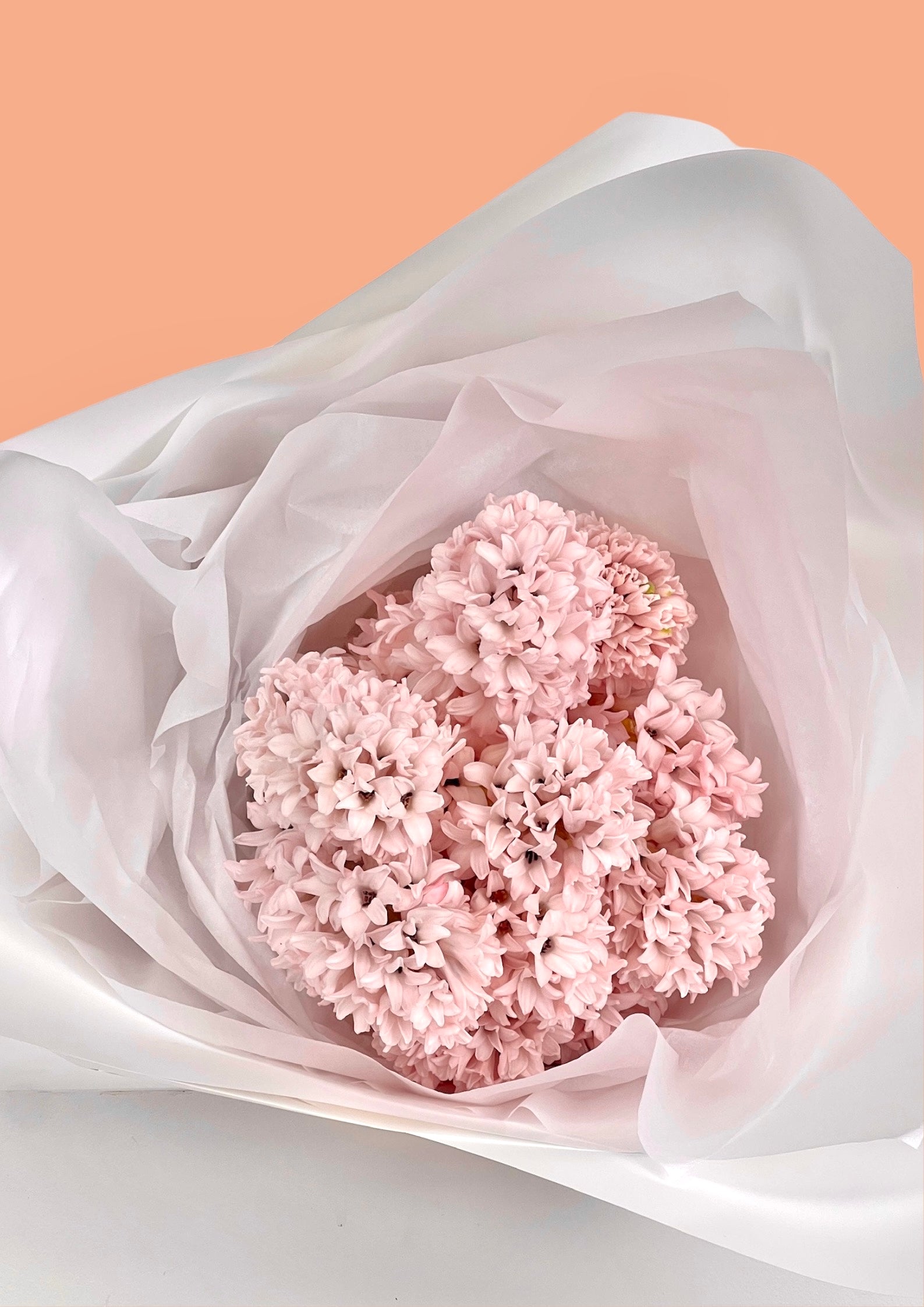 Seasonal Hyacinth-Flower-Delivery-Gold-Coast-Florist-Flowers Gold Coast-5 Stems-https://www.flowersgoldcoast.com.au-best-florist