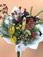 Wild Natives Bunch