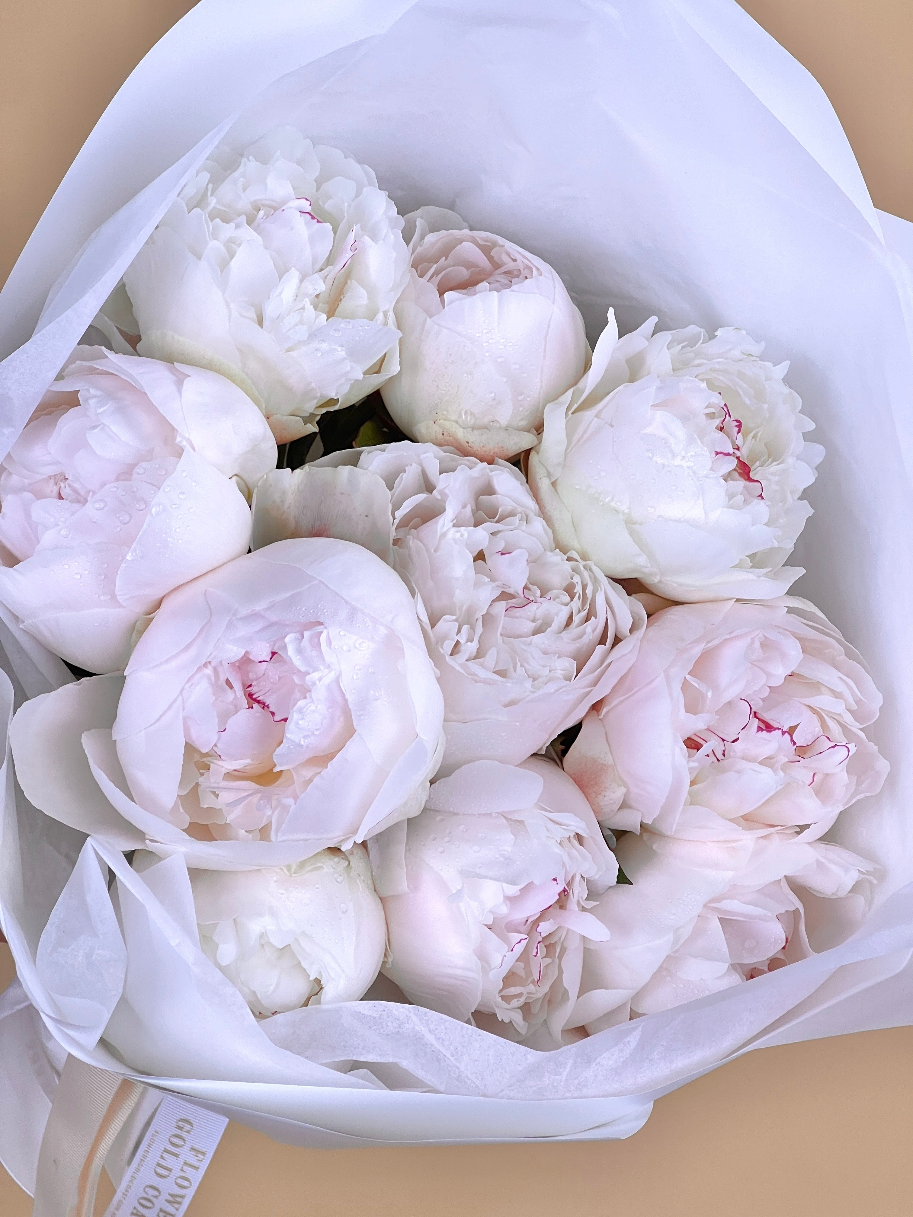 Poetic Peonies - Fresh Cut Flowers made with love by Flowers Gold Coast www.flowersgoldcoast.com.au the Gold Coast's best Florist - Same Day Flower Delivery